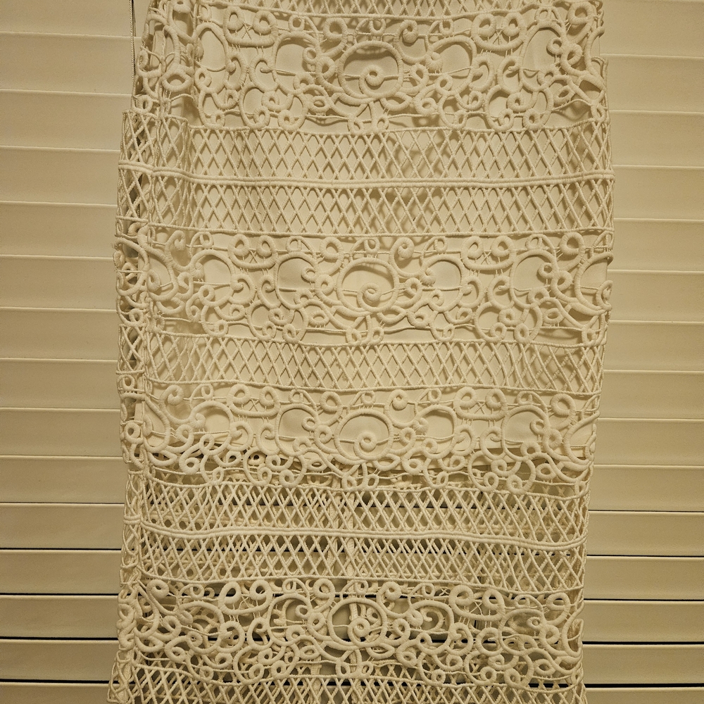 Express Cream Lace Pencil Skirt